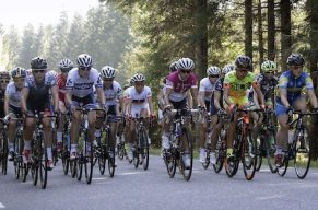 A Winning Weekend in Vårgårda